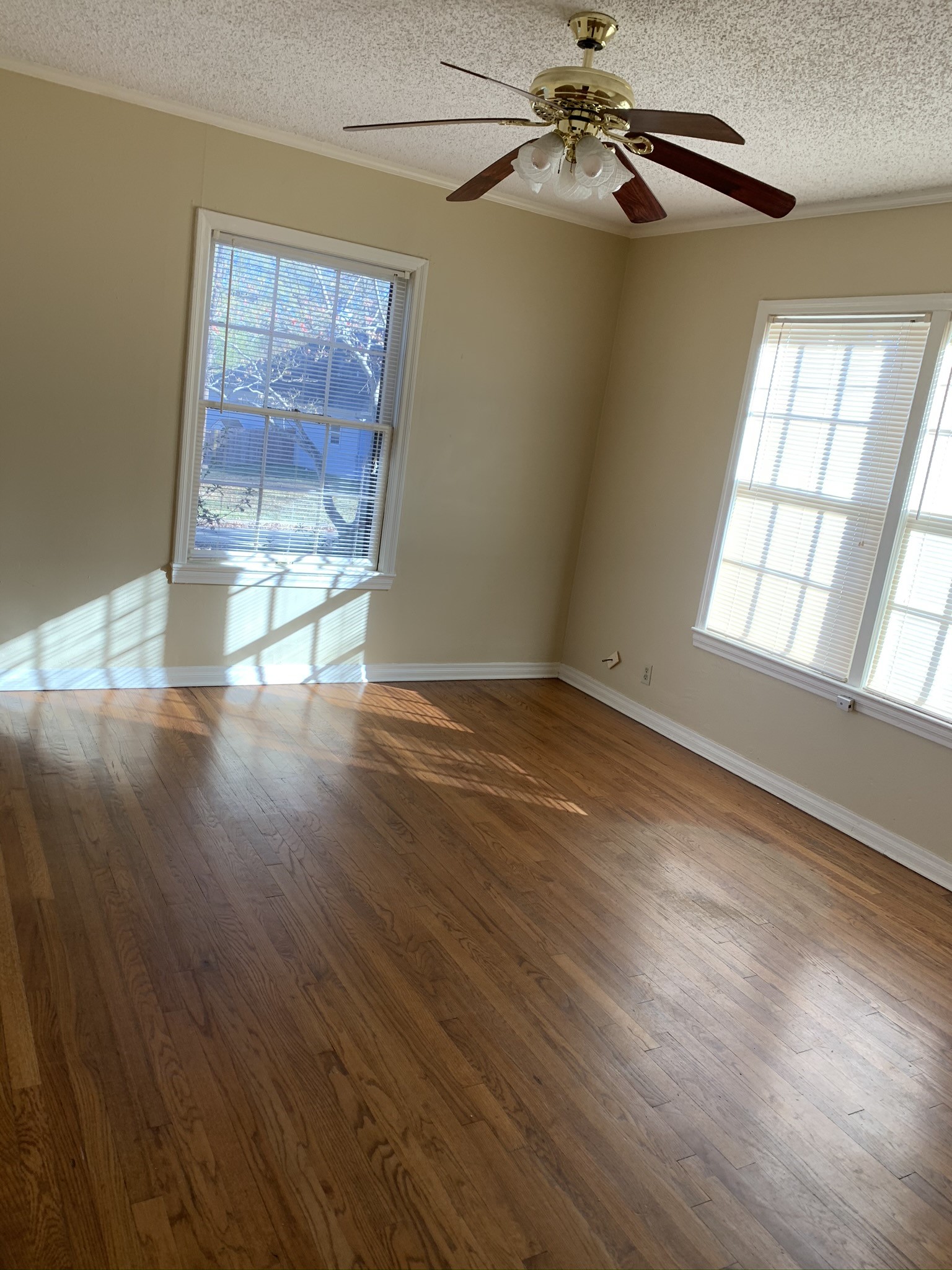 1317 Sneed Drive Property Photo 9