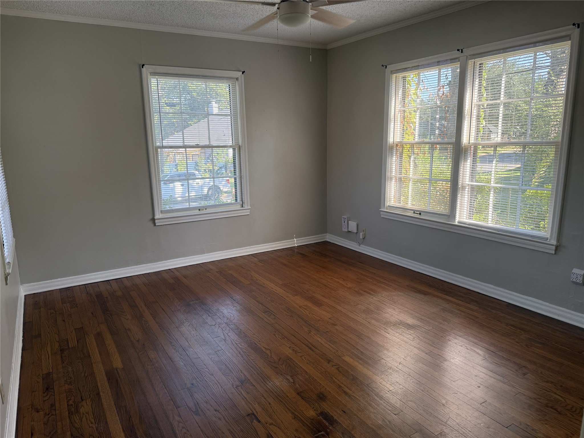 1317 Sneed Drive Property Photo 20