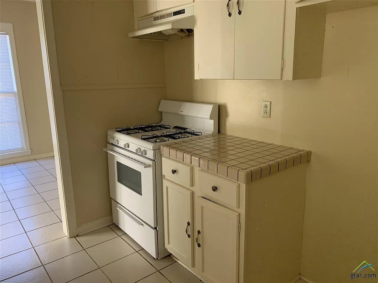 1317 Sneed Drive Property Photo 21