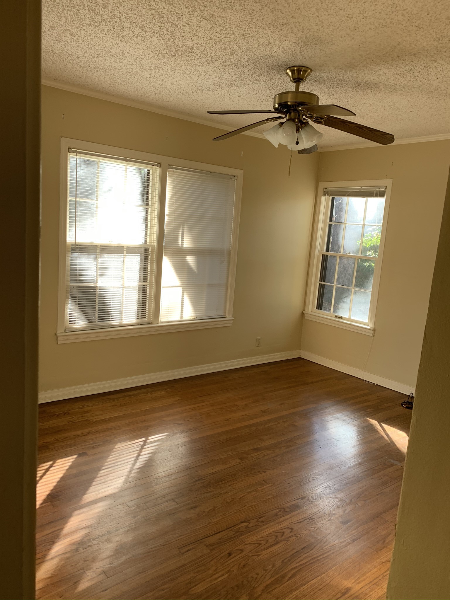 1317 Sneed Drive Property Photo 24