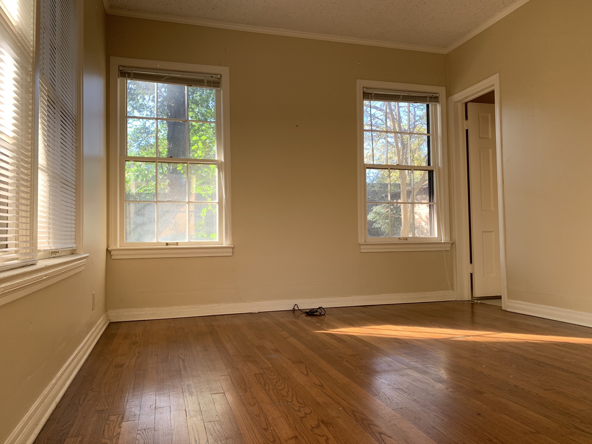 1317 Sneed Drive Property Photo 25