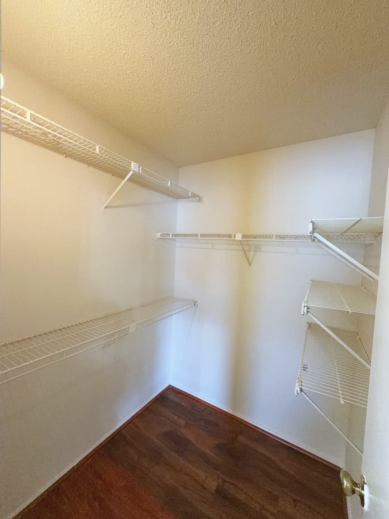 7900 Bissonnet Street D1 Property Photo 16