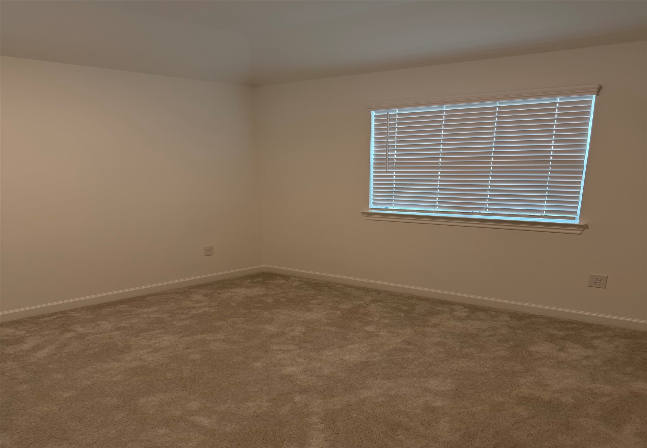 25318 Loch Doon Drive Property Photo 22