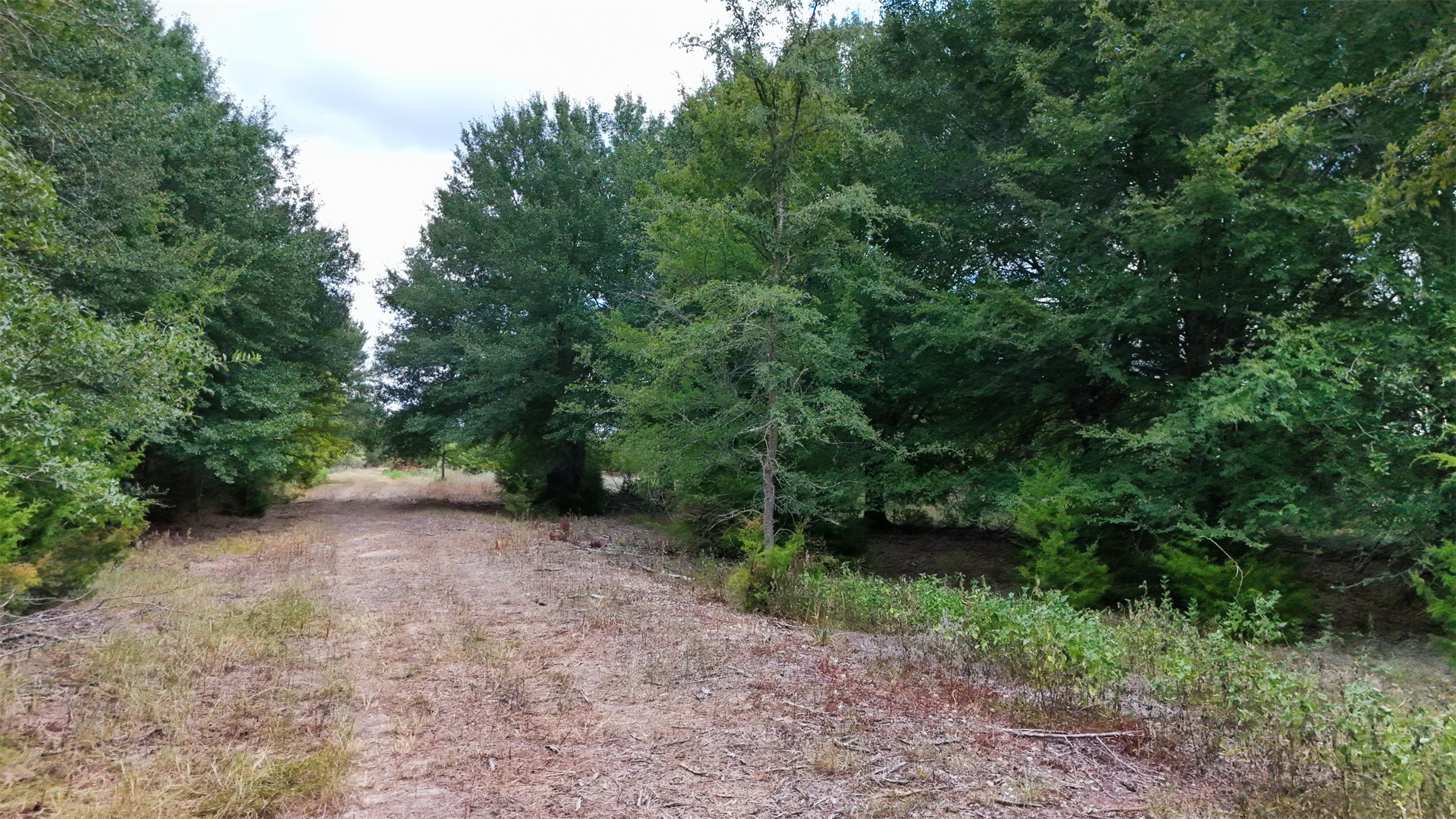 3480 Beck Prairie Road Property Photo 4