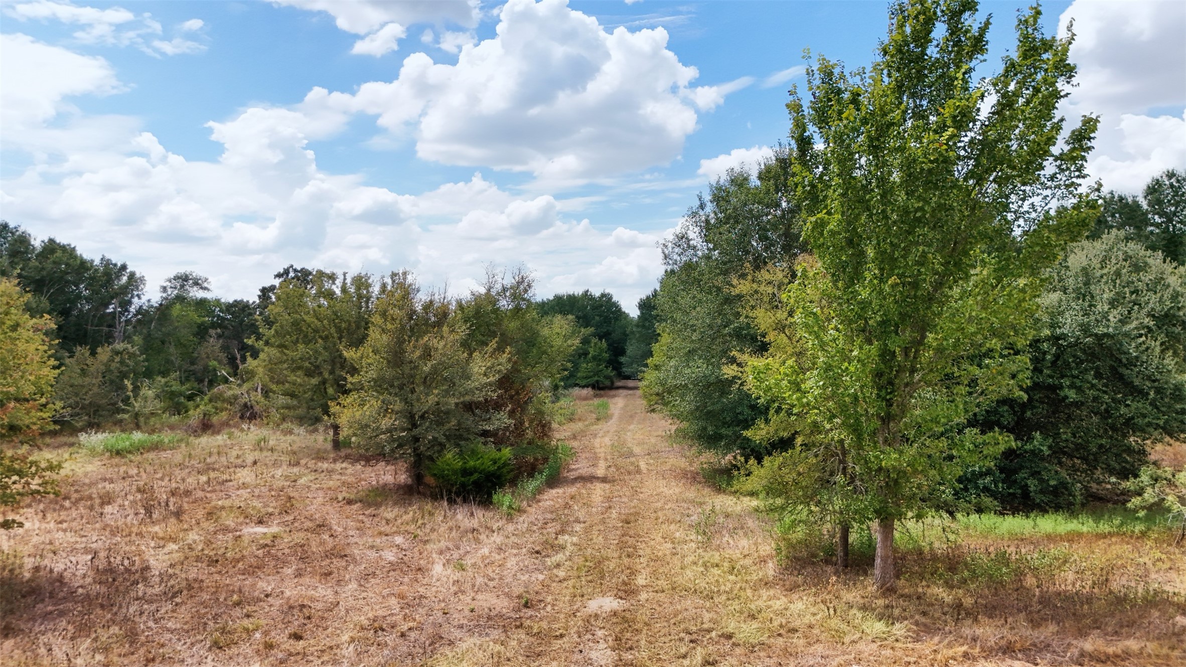 3480 Beck Prairie Road Property Photo 5