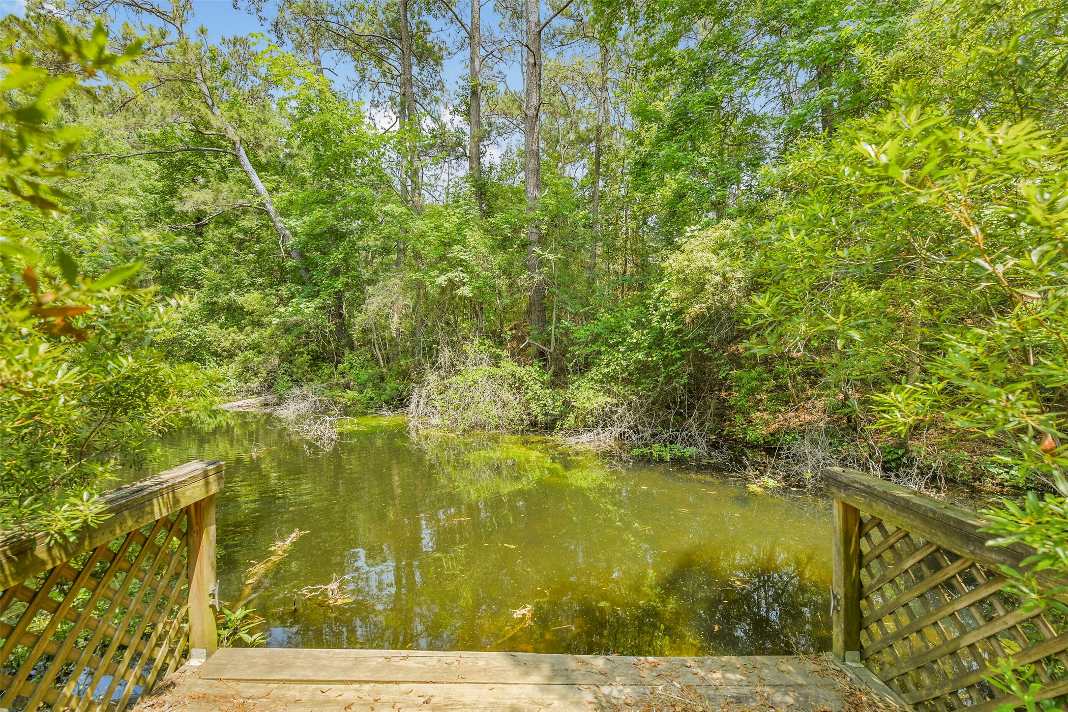 91 Bluejay Way Property Photo 10