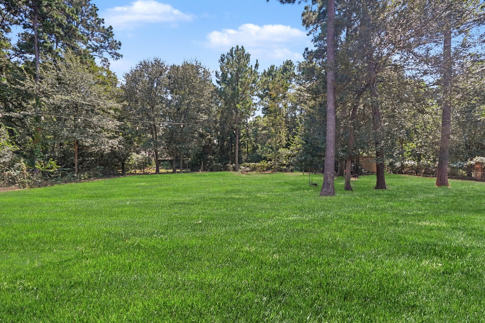 26023 Rolling Forest Lane Property Photo 15