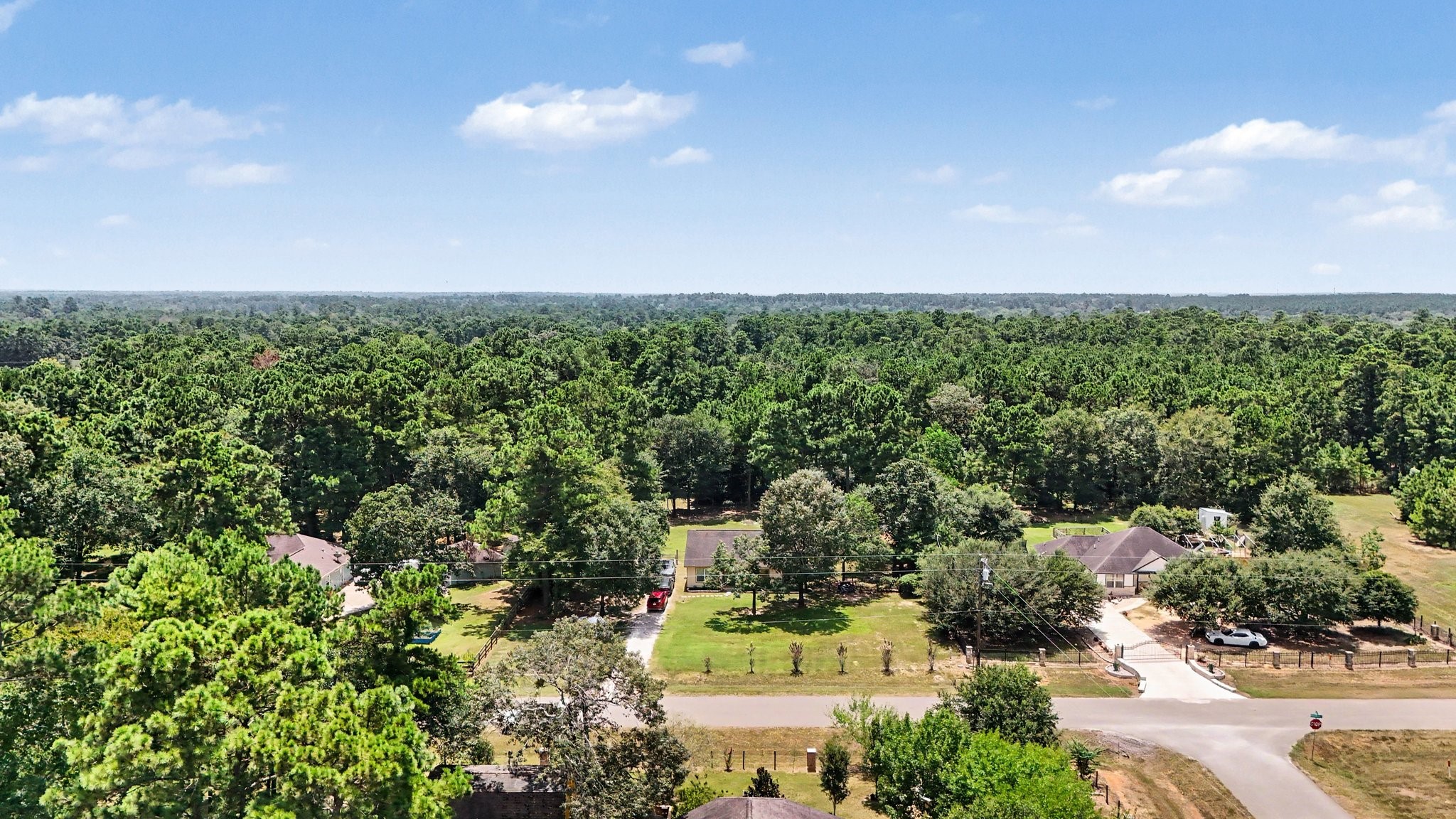 26023 Rolling Forest Lane Property Photo 16