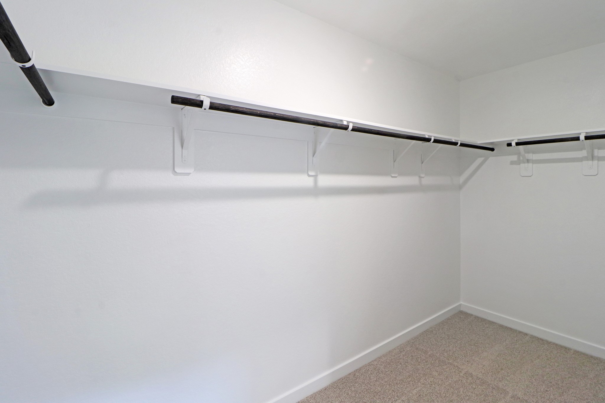 2519 Paloverde Canyon Court Property Photo 10