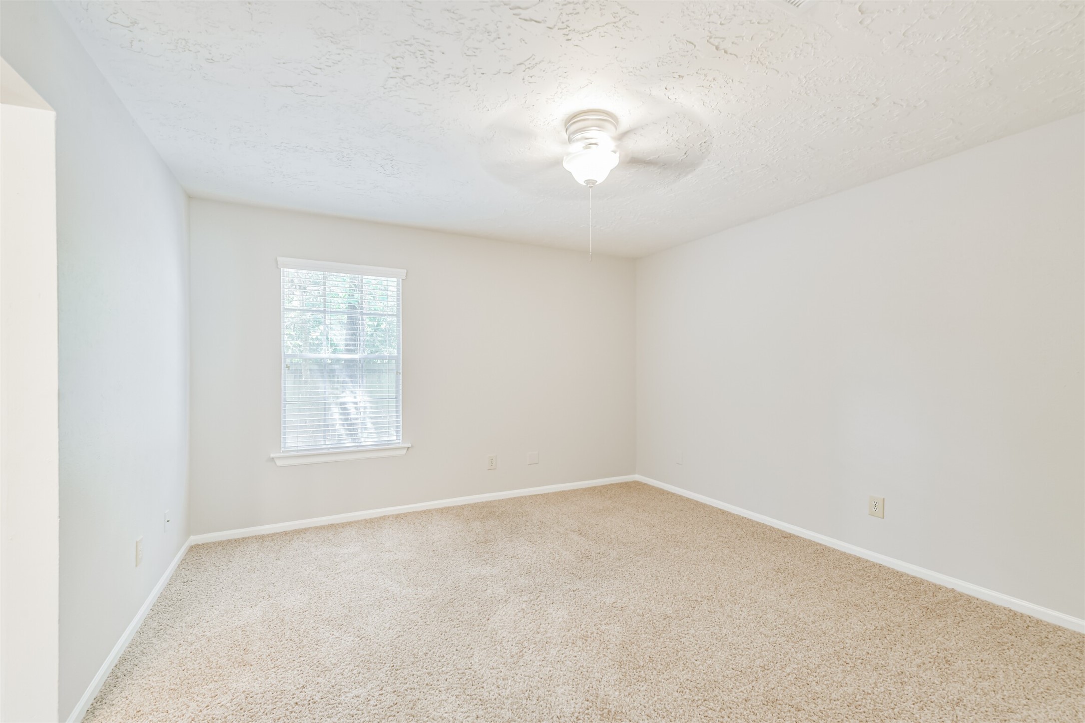 56 Fallshire Drive Property Photo 16