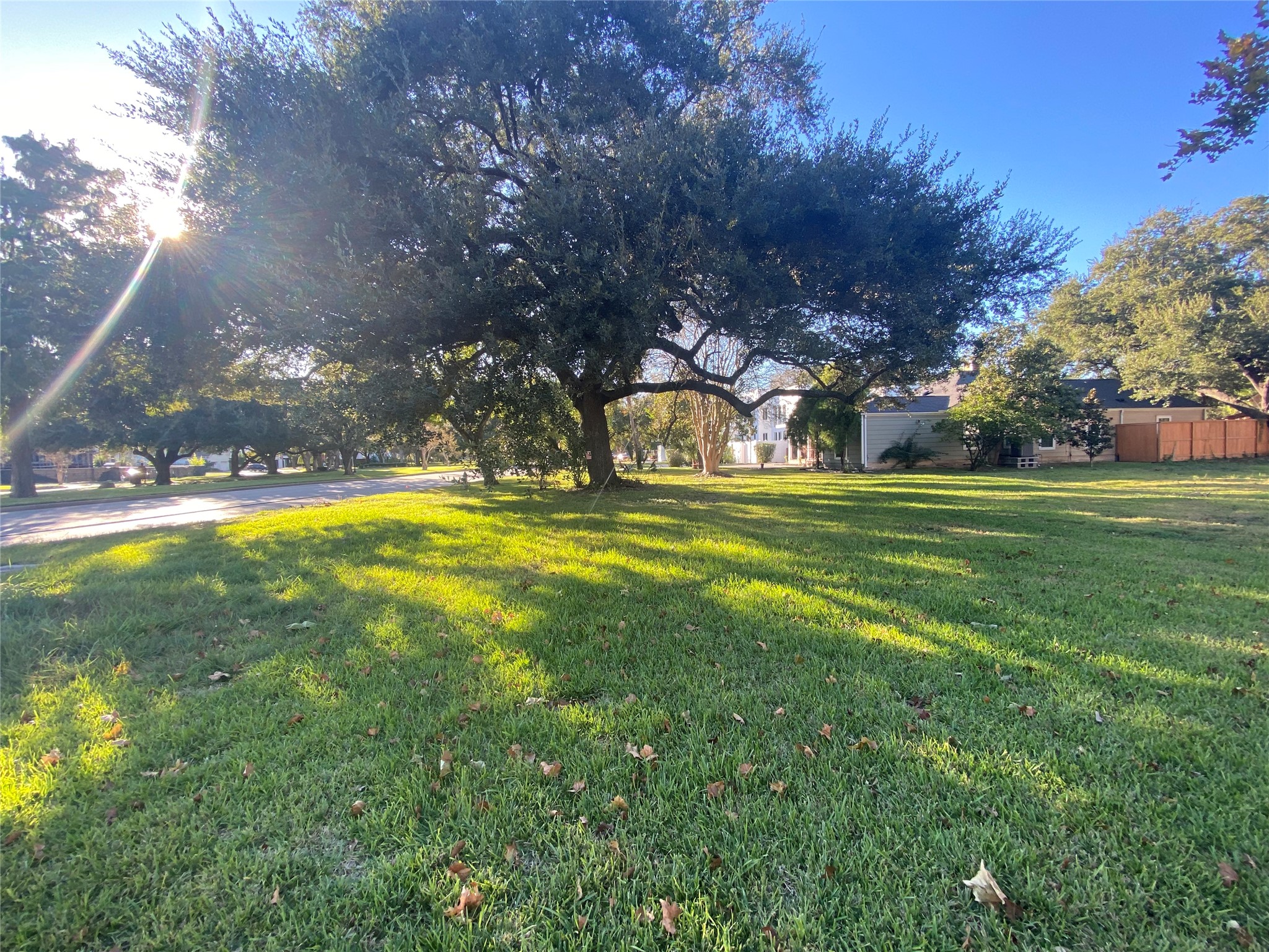 4800 Bellaire Boulevard Property Photo 5