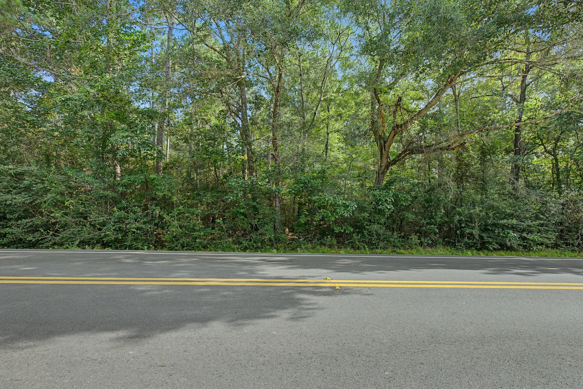 Tbd Butera Property Photo 8