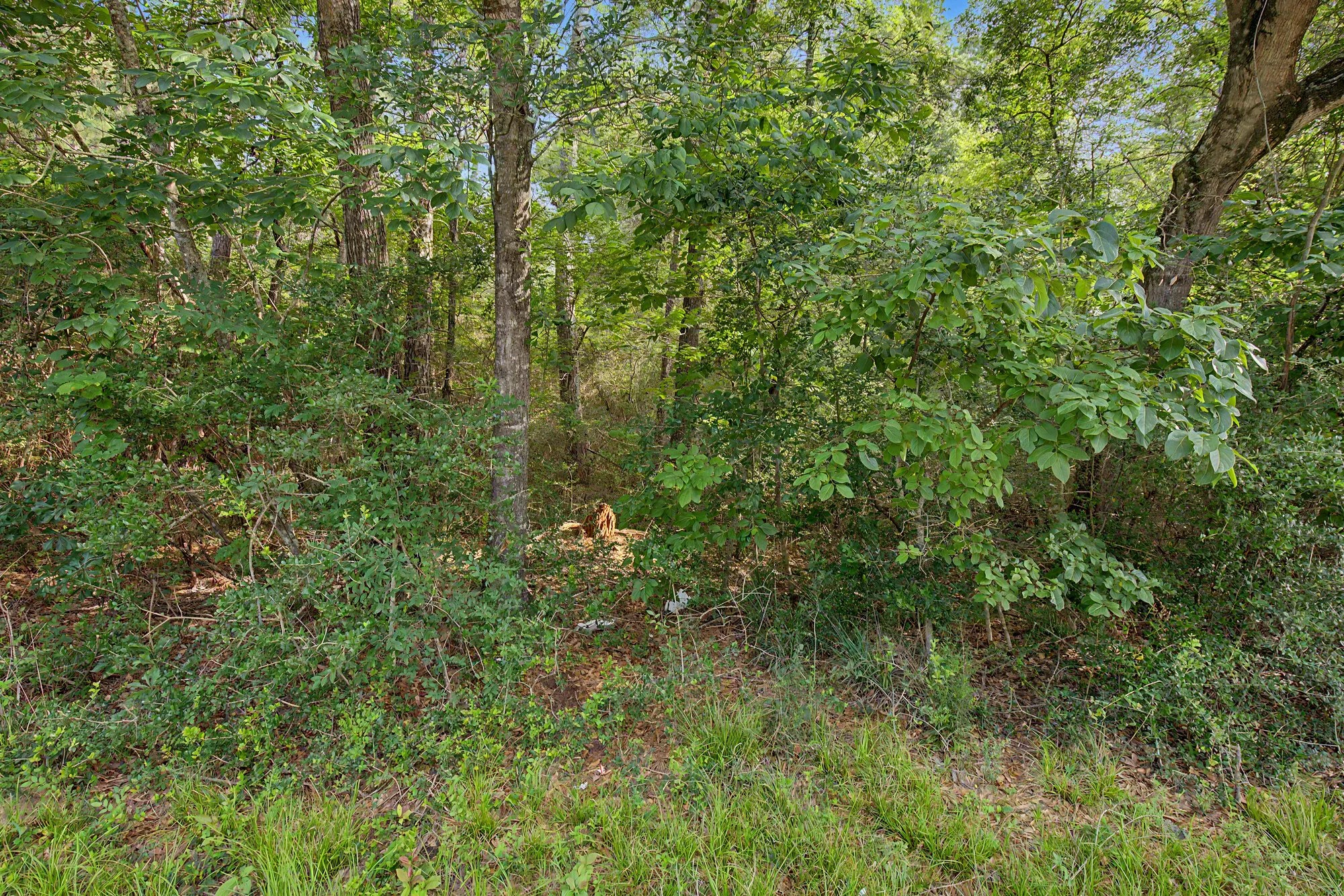 Tbd Butera Property Photo 9