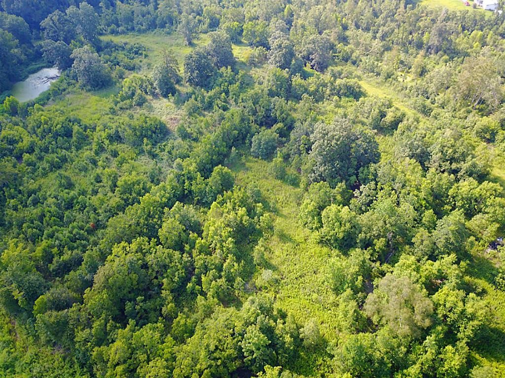 8711 Fm-787 Property Photo 5