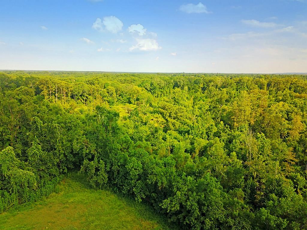 8711 Fm-787 Property Photo 6