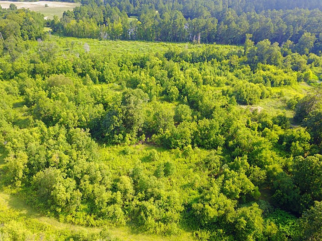 8711 Fm-787 Property Photo 7