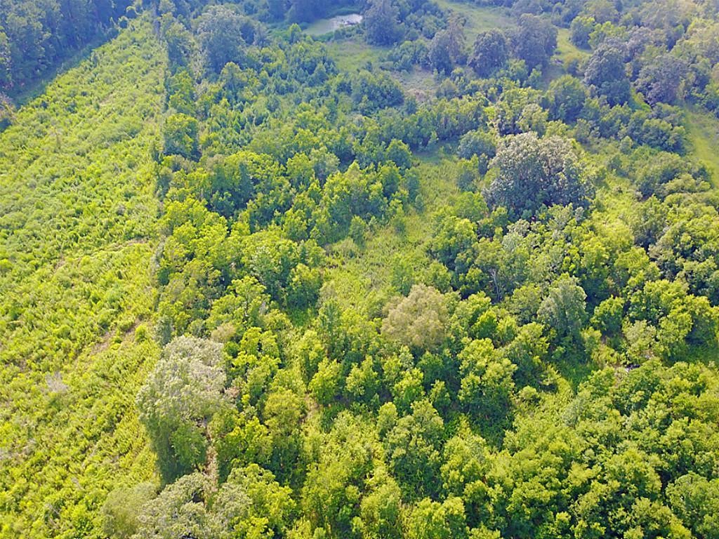 8711 Fm-787 Property Photo 8