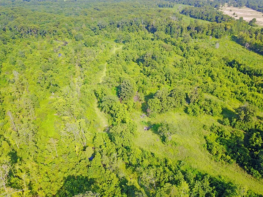 8711 Fm-787 Property Photo 9