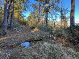 Tbd Cr 4200 Property Photo 4