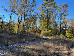 Tbd Cr 4200 Property Photo 13