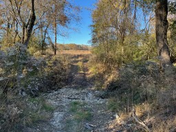 Tbd Cr 4200 Property Photo 14