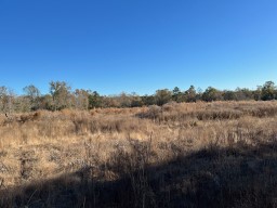 Tbd Cr 4200 Property Photo 16