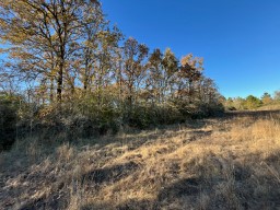 Tbd Cr 4200 Property Photo 17