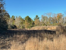 Tbd Cr 4200 Property Photo 18