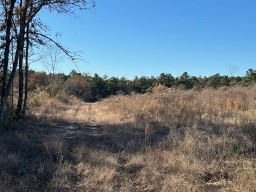 Tbd Cr 4200 Property Photo 19