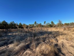 Tbd Cr 4200 Property Photo 20