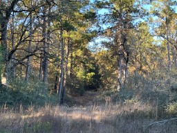 Tbd Cr 4200 Property Photo 23