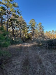 Tbd Cr 4200 Property Photo 25