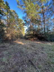 Tbd Cr 4200 Property Photo 27