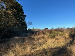 Tbd Cr 4200 Property Photo 28