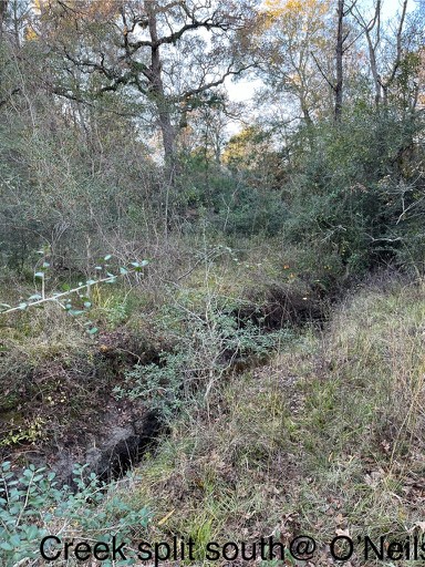 Tbd Cr 4200 Property Photo 33