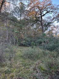 Tbd Cr 4200 Property Photo 34