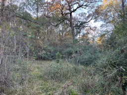Tbd Cr 4200 Property Photo 35