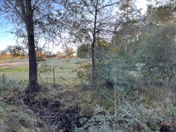 Tbd Cr 4200 Property Photo 36