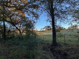 Tbd Cr 4200 Property Photo 37