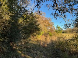 Tbd Cr 4200 Property Photo 38