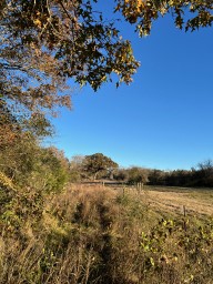Tbd Cr 4200 Property Photo 39