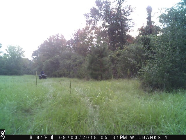 Tbd Cr 4200 Property Photo 40