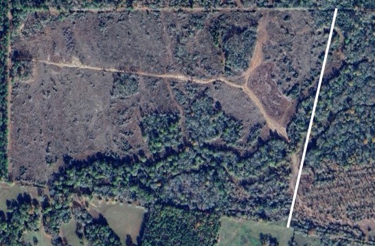 Tbd Cr 4200 Property Photo 41
