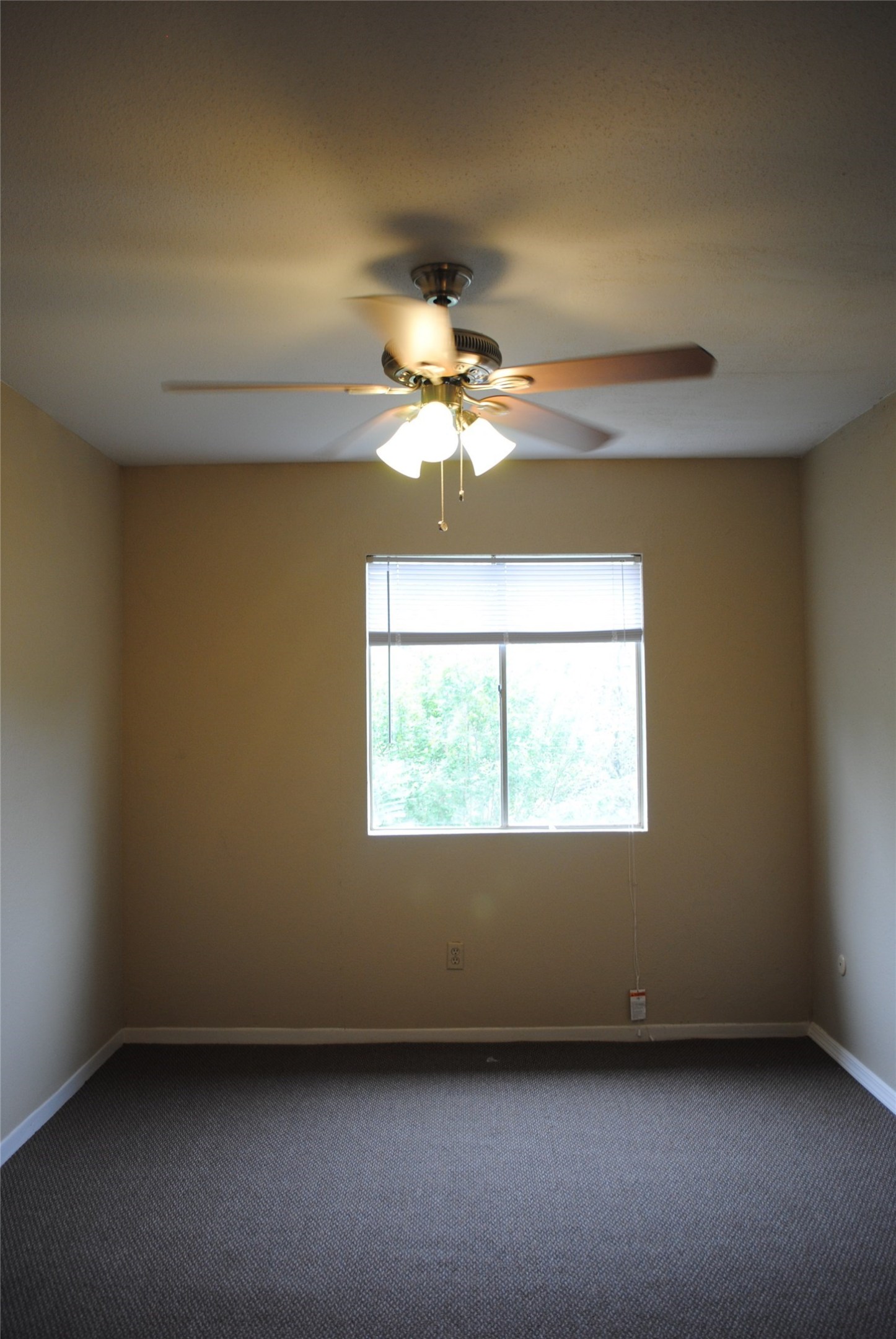 716 Memorial Mews Street B Property Photo 5
