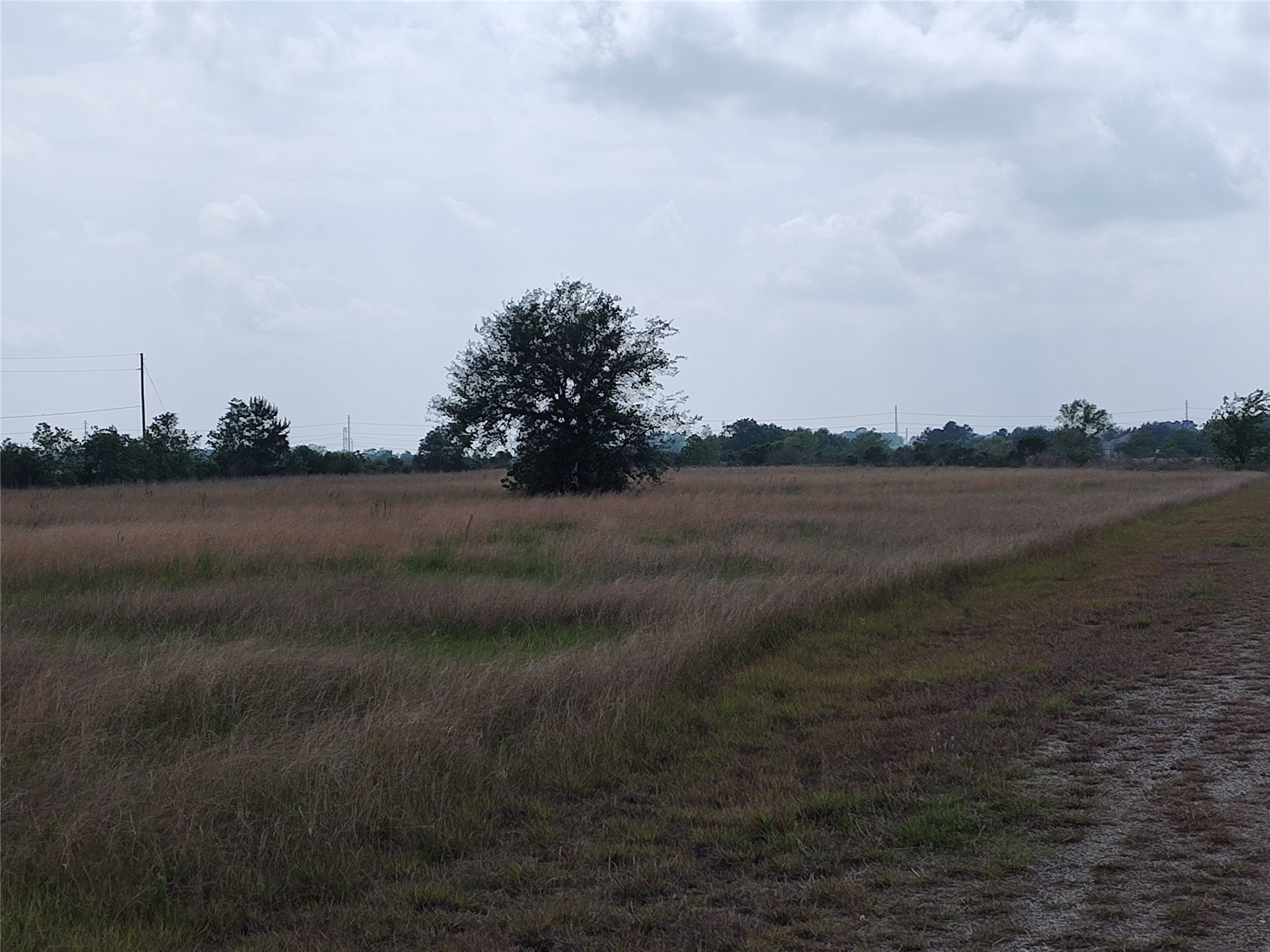 19709 Becker Road Property Photo 3
