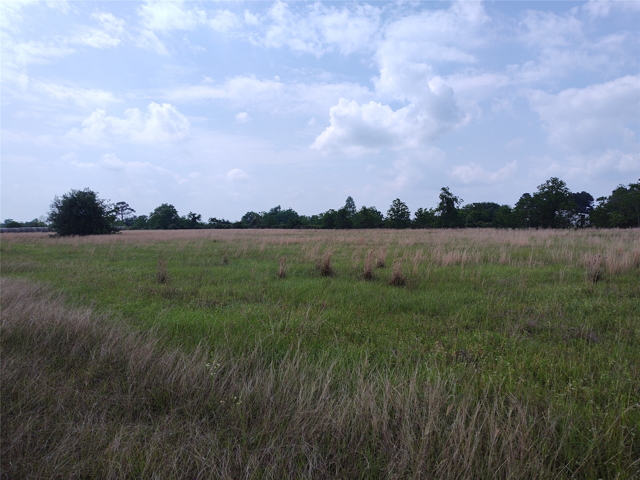 19709 Becker Road Property Photo 4