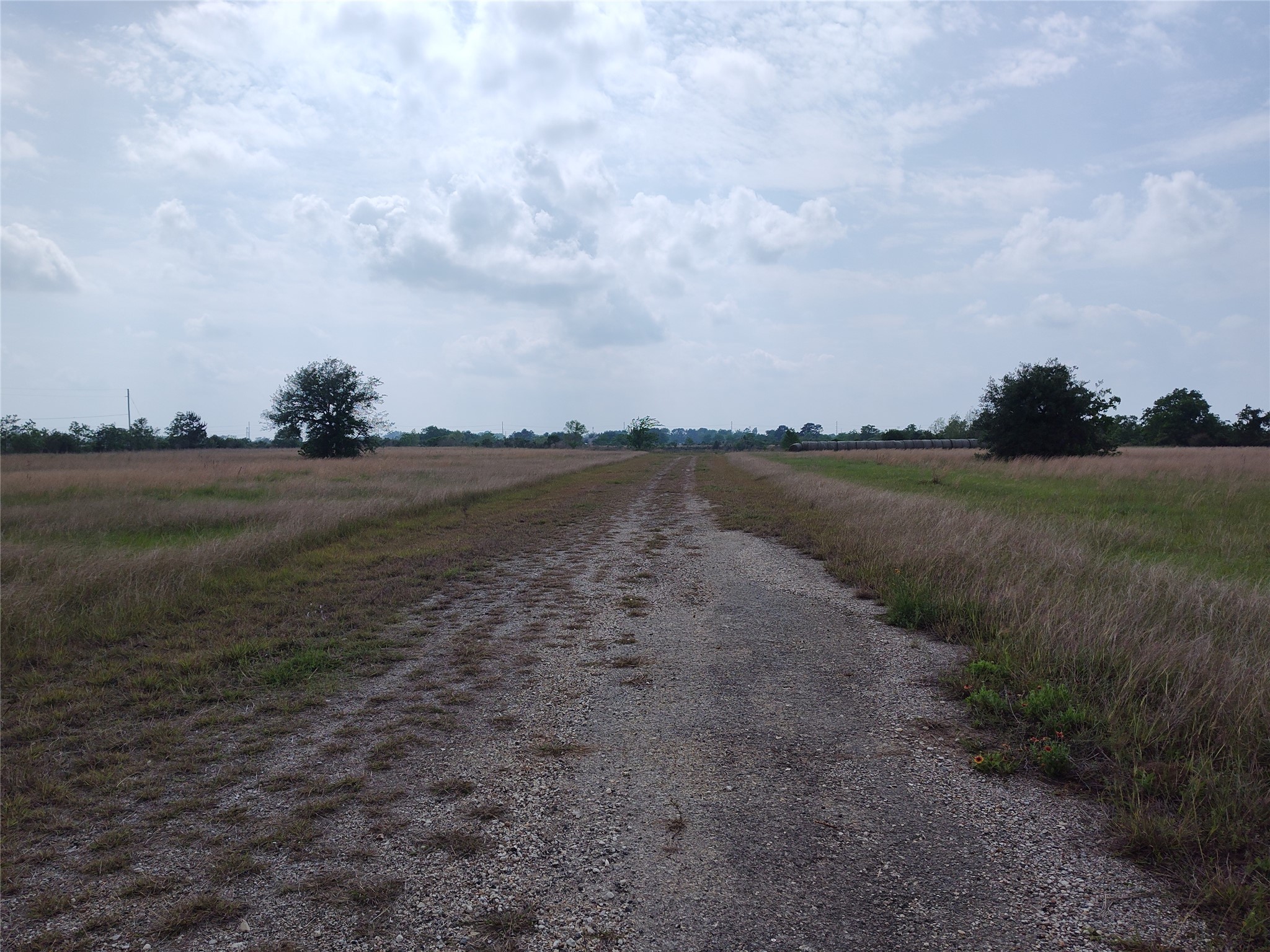 19709 Becker Road Property Photo 5
