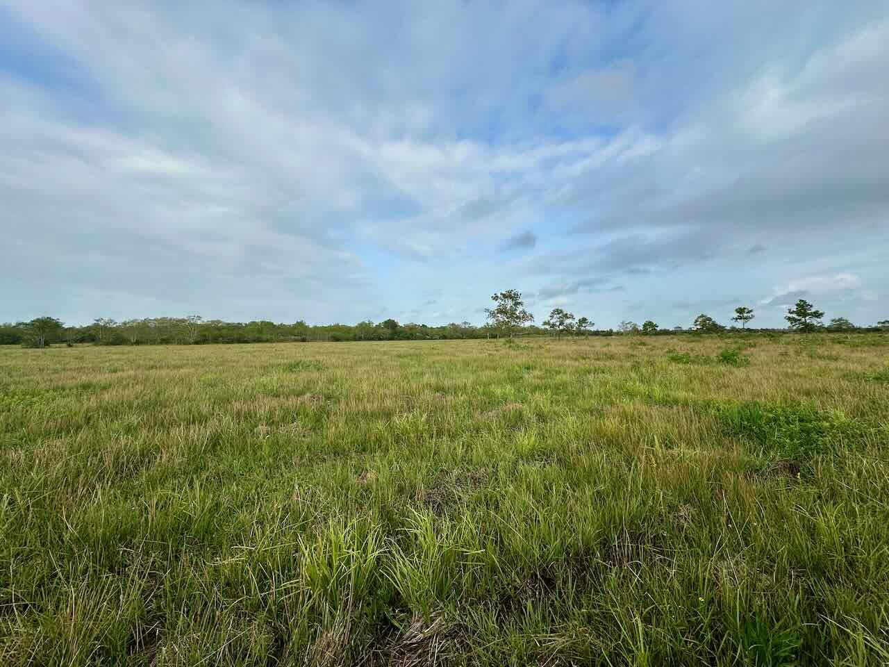 6742 Eagle Rd Property Photo 2