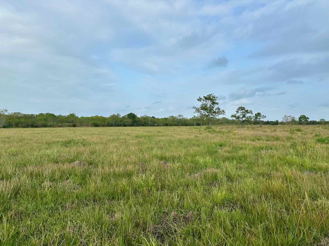 6742 Eagle Rd Property Photo 4