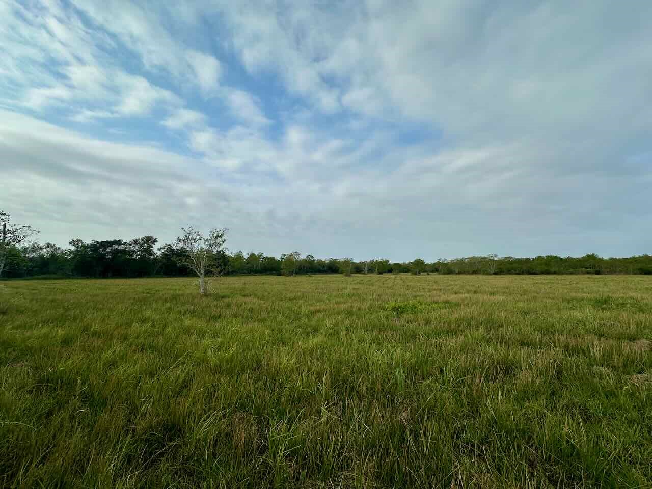 6742 Eagle Rd Property Photo 5